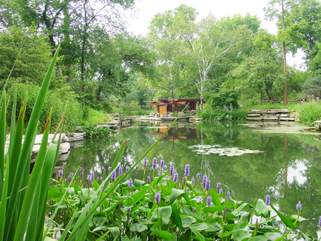 Lincoln Park