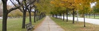 Boulevards