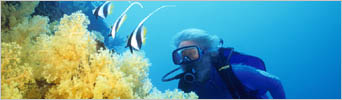 Ocean Adventures