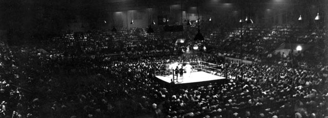 Boxing: Golden Gloves Banner
