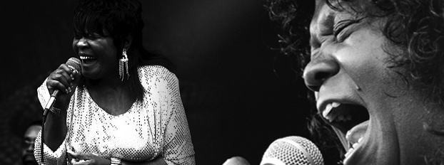Koko Taylor Banner