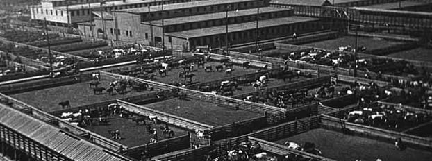 The Union Stockyards Banner