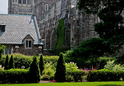 Princeton University
