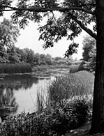 Hidden Chicago 2