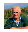 [photo: man harvesting wine grapes]