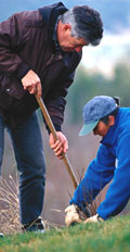 [photo: couple planting trees]