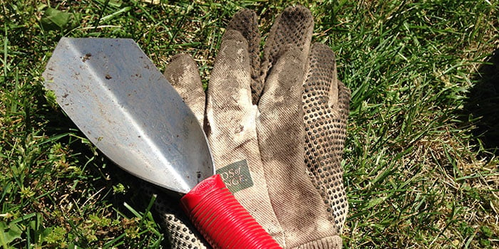 Trowel and gloves