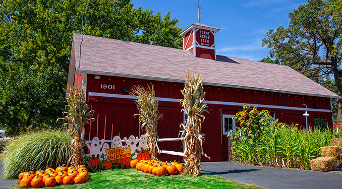 Fun Farm Party