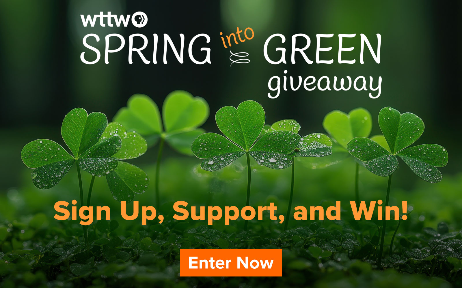 WTTW Spring Into Green Giveaway - Enter Today!