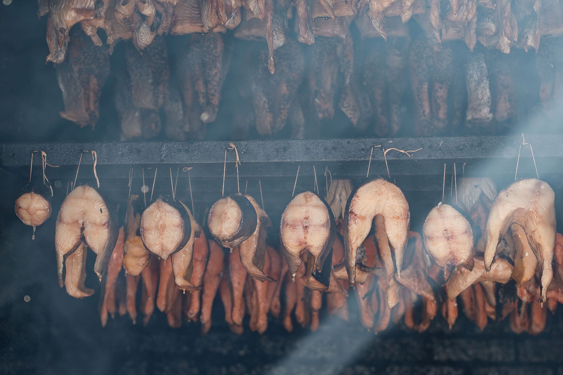 Fish hangs in the smokehouse with beams of light show through the smoke.
