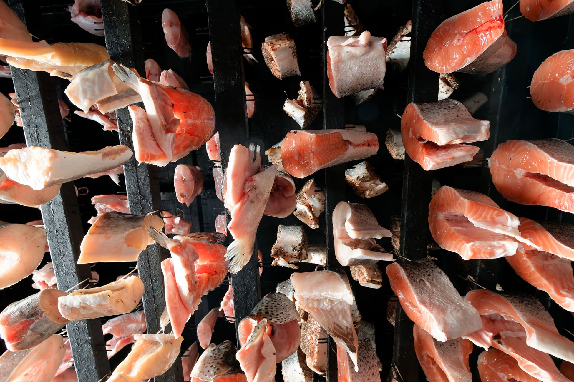 Fish hangs from racks in the smokehouse.