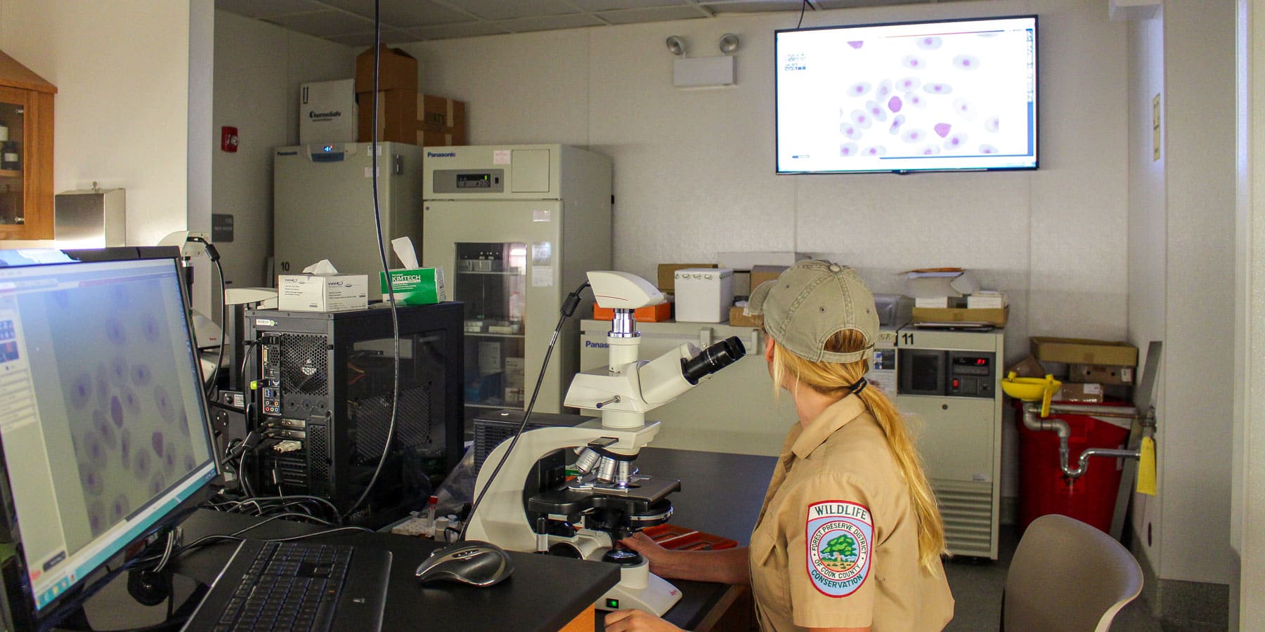 A woman sits in a lab in front of a microscope as images from it appear on monitors