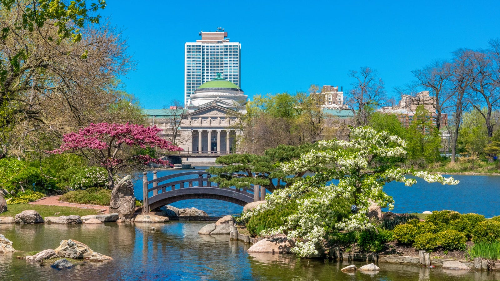 Jackson Park