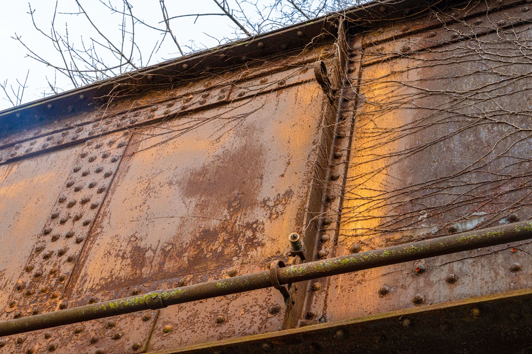 Close-up of a rusty metal bridge with rivets, vines creeping on its surface. The warm sunlight highlights textures, evoking a sense of decay and history.