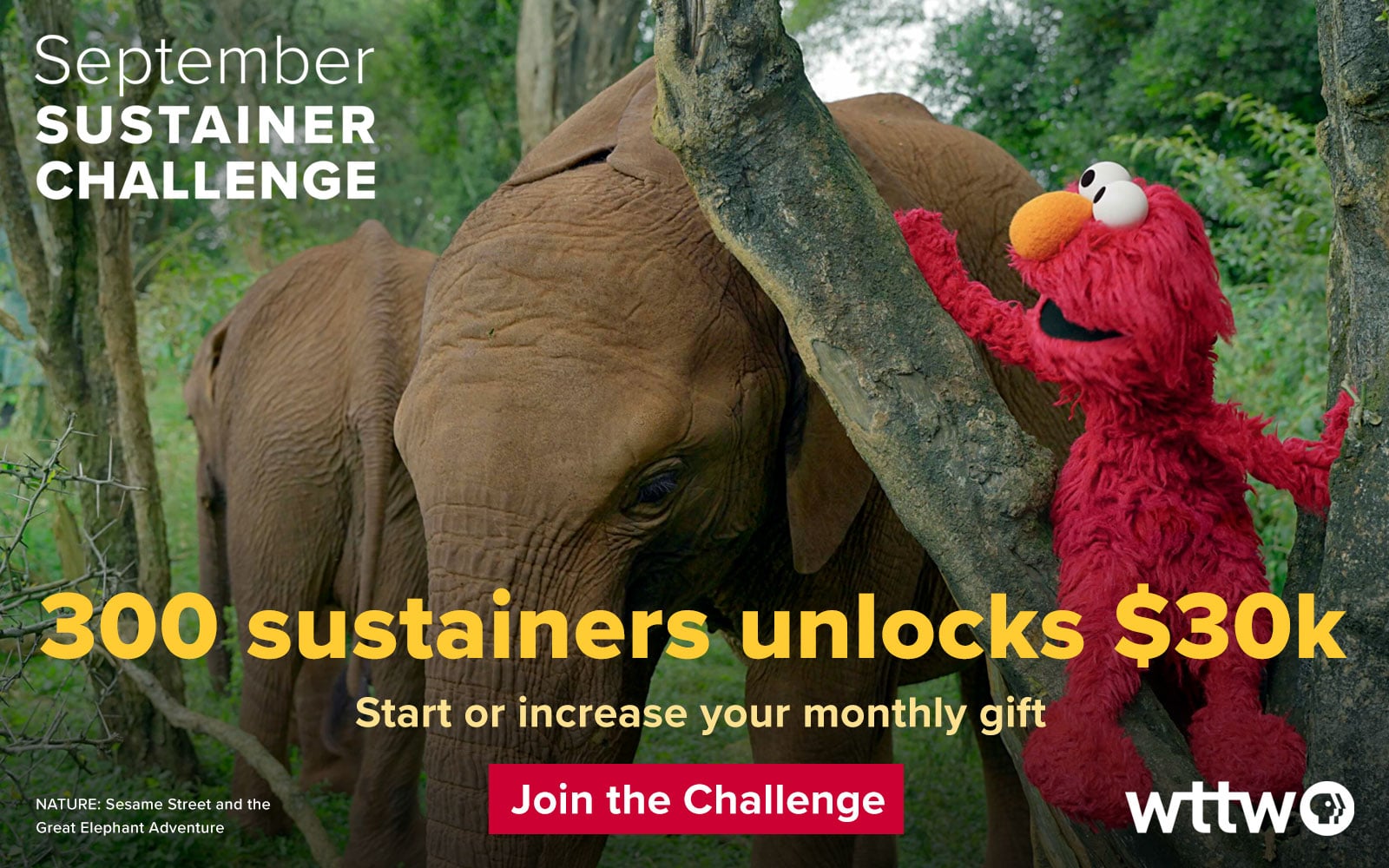 September SUSTAINER CHALLENGE – 300 sustainers unlocks $30k! Start or increase your monthly gift. Join the Challenge! Pictured: Elmo and an elephant from PBS's NATURE: Sesame Street and the Great Elephant Adventure