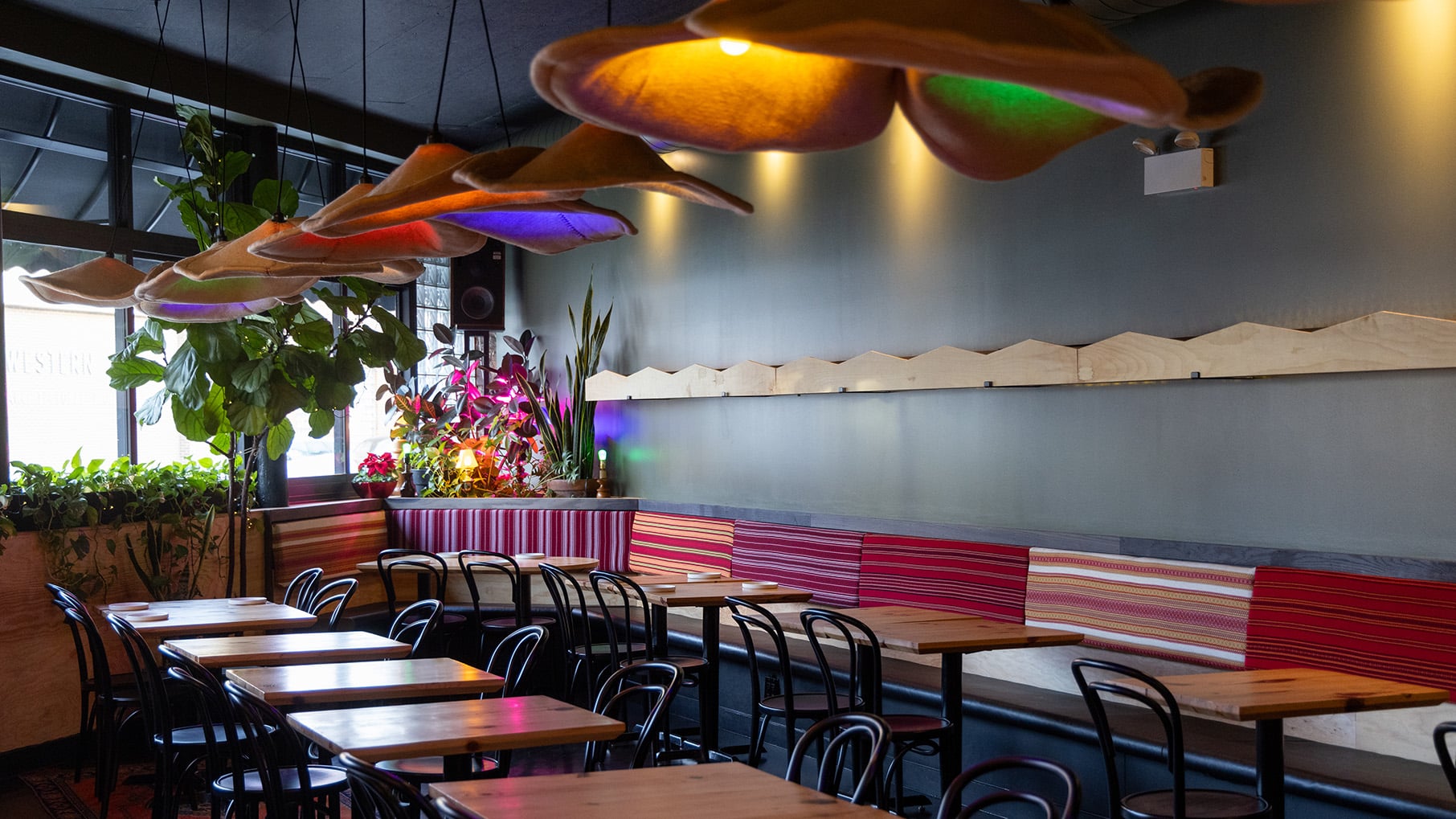 Tables and plants under colored lightbulbs in a restaurant