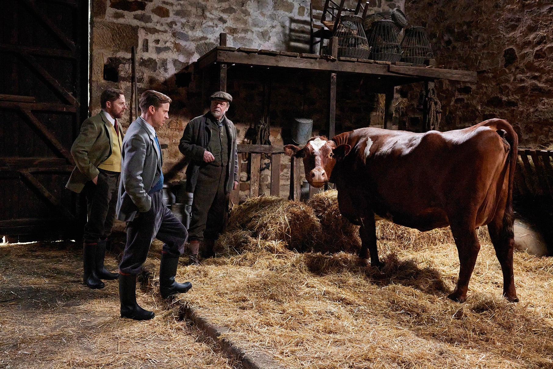 Siegfried, James, and a farmer stand in a barn and look at a cow