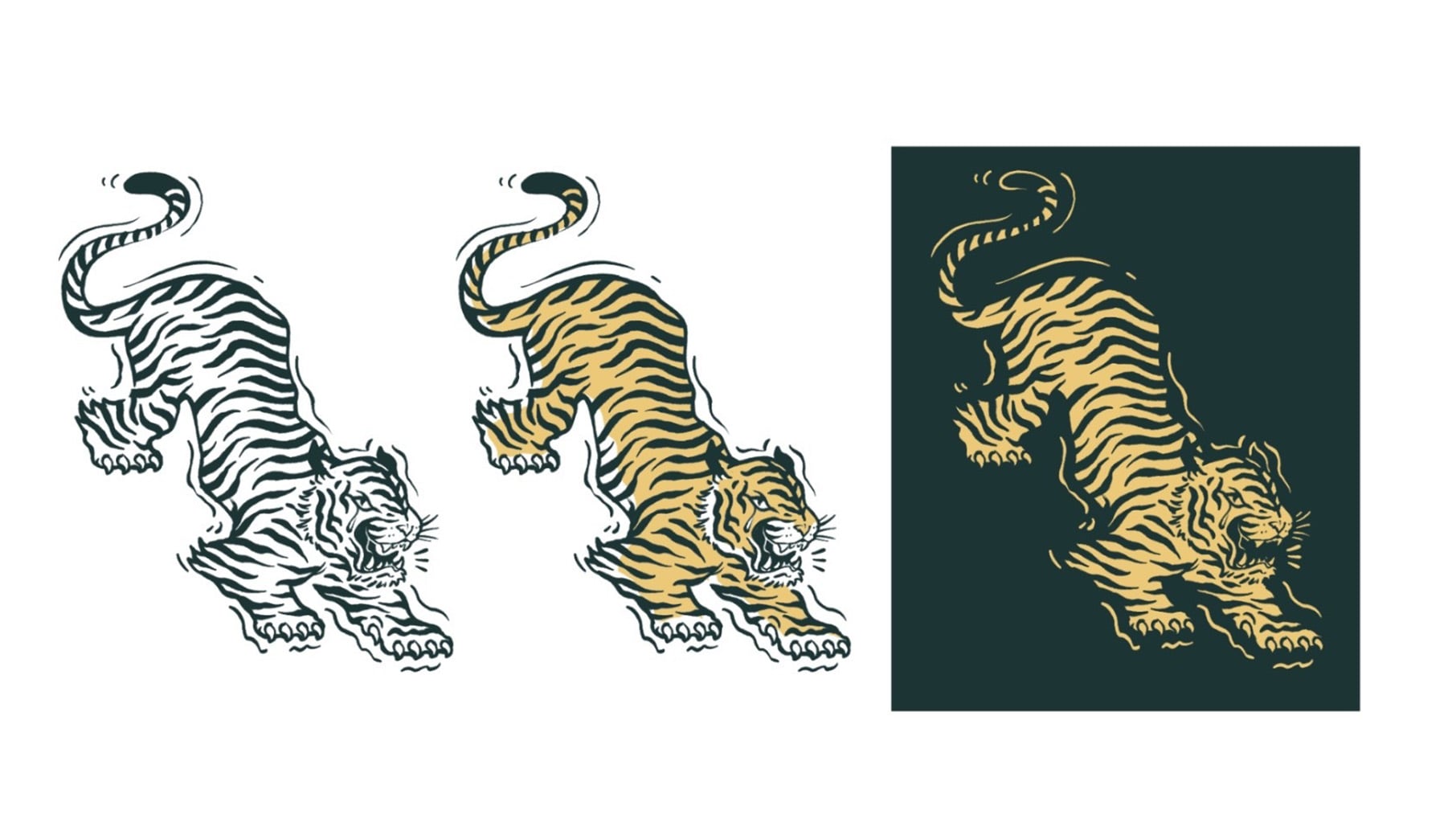 Three illustrations of a tiger