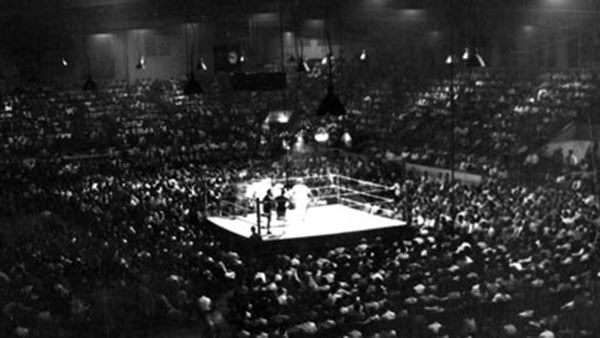 Golden Gloves Boxing