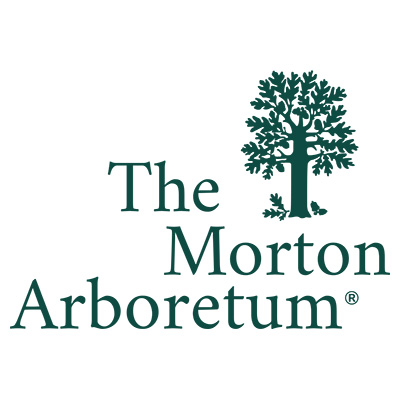 Morton Arboretum