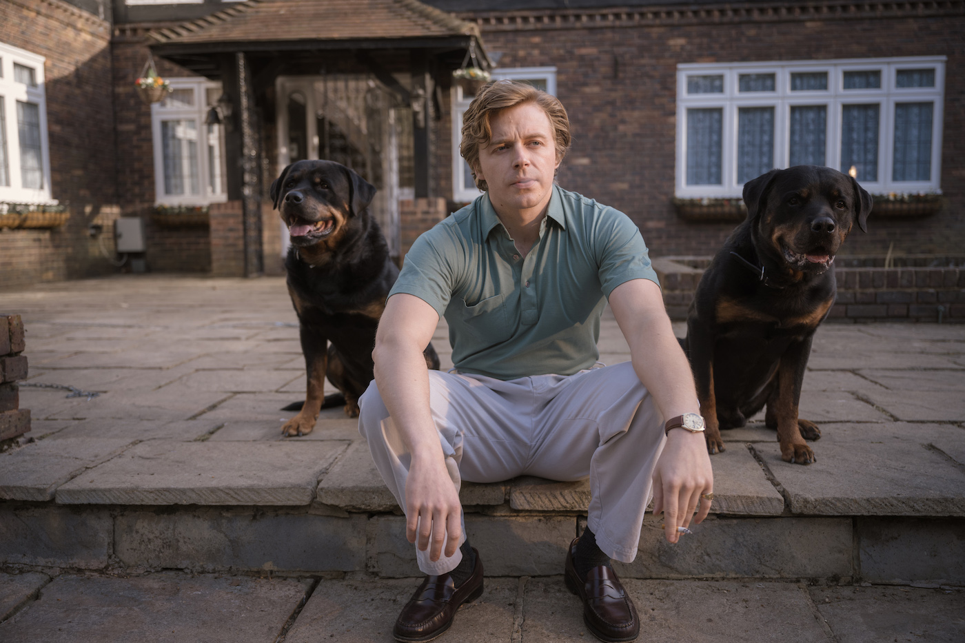 A man sits on a curb in between two muscular dogs