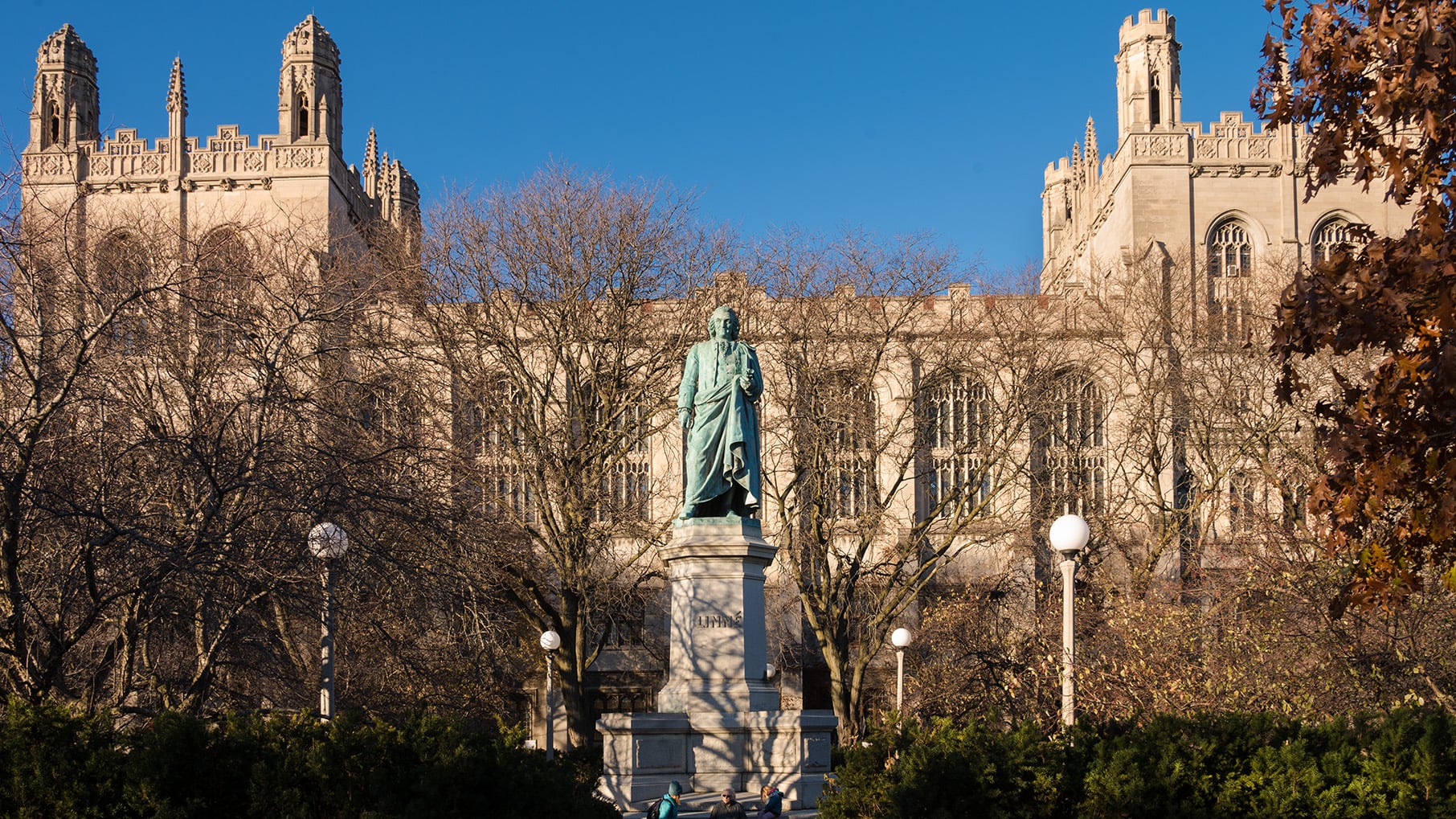Collegiate Gothic buildings on the University of Chicago campus, as viewed from the Midway Plaisance