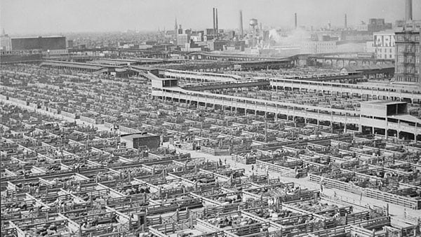 The Union Stockyards