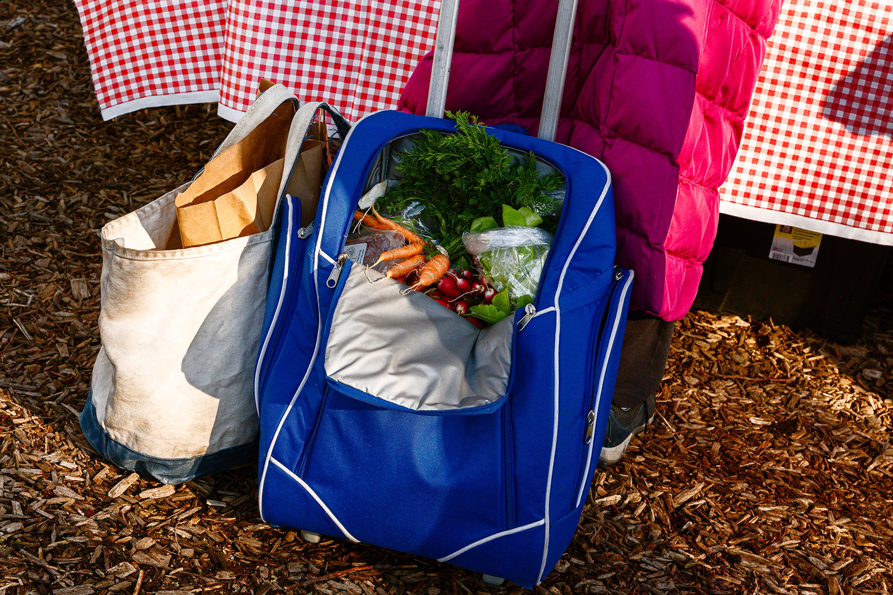 Two bags sit on the ground near a person's feet, packed with produce