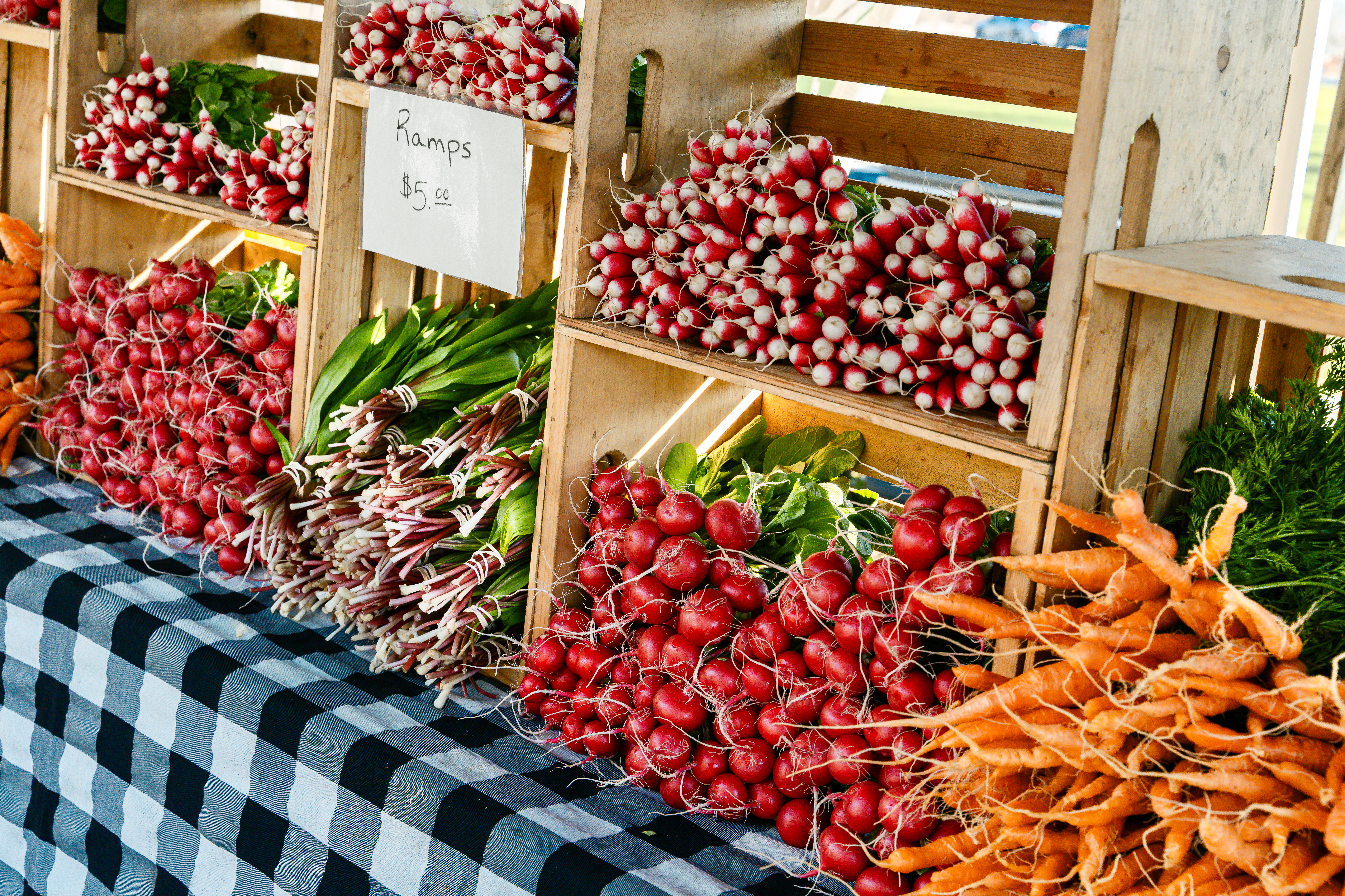 Bundles of radishes, carrots, and ramps on display at a farmers market stand