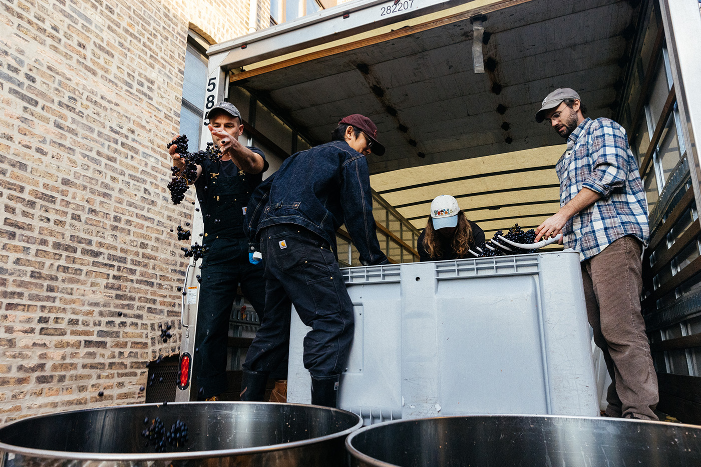 A man drops grapes from the open back of a truck into a vat, while others stand in the truck