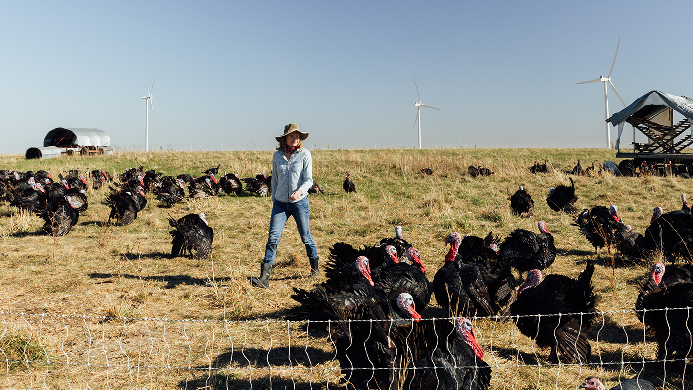 A woman in a hat walks through a farm field with turkeys and windmills in the distance