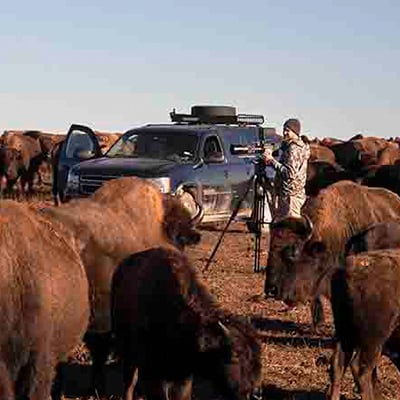 Joseph H. Williams Tallgrass Prairie Preserve, Pawhuska, Osage County, Oklahoma, July 2021. Credit: Harvey Payne