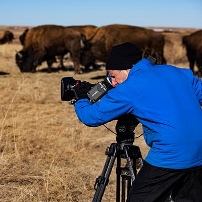 Wild Idea, Conata Ranches, Rapid City, South Dakota, February, 2020. Credit: Craig Mellish