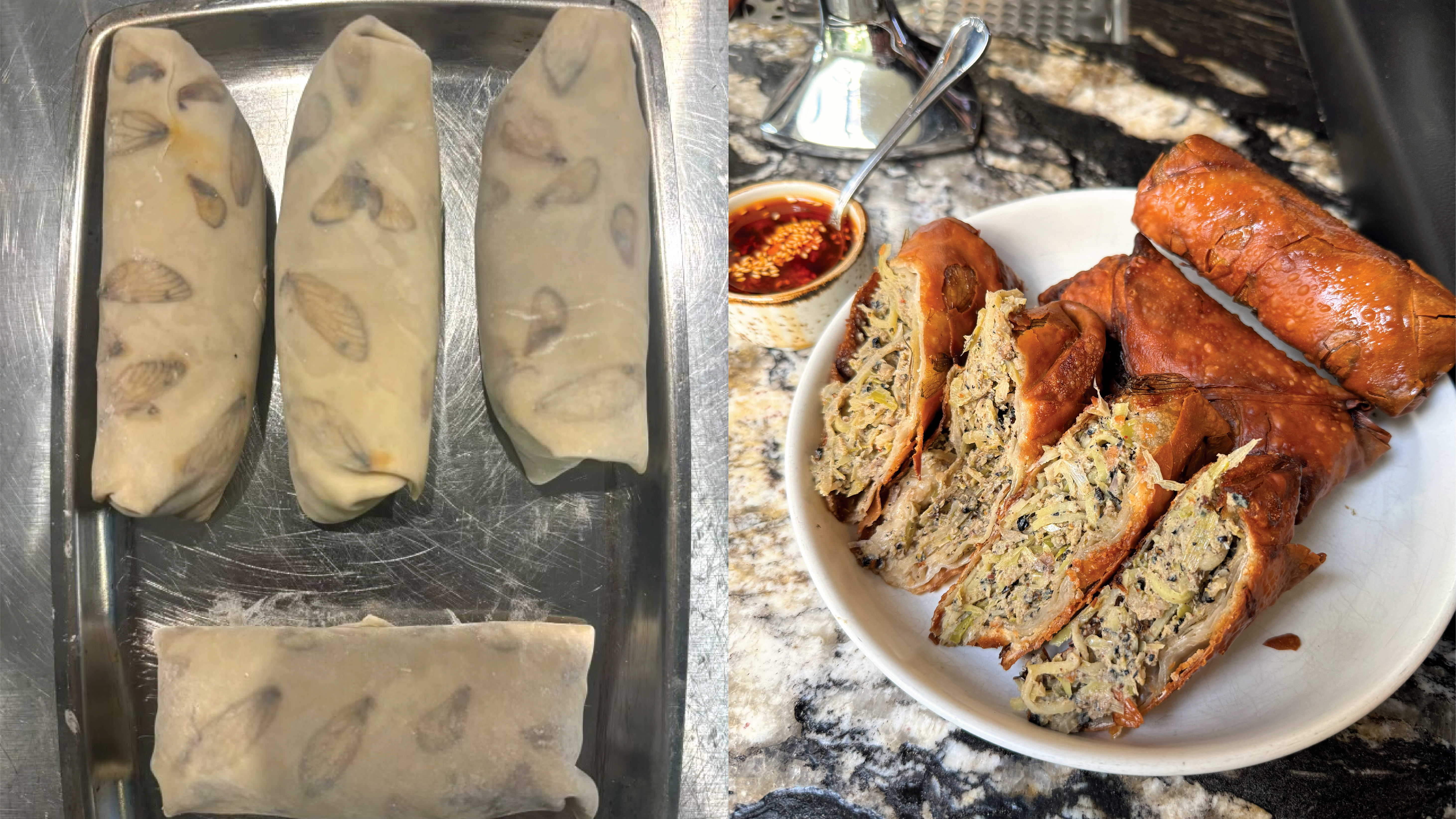 An image collage of egg rolls with visible cicada wings on the wrappers before being fried; egg rolls cut open on a plate 