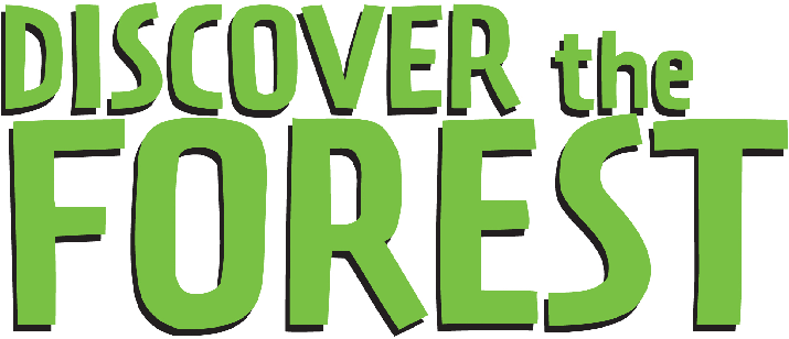 Discover the Forest