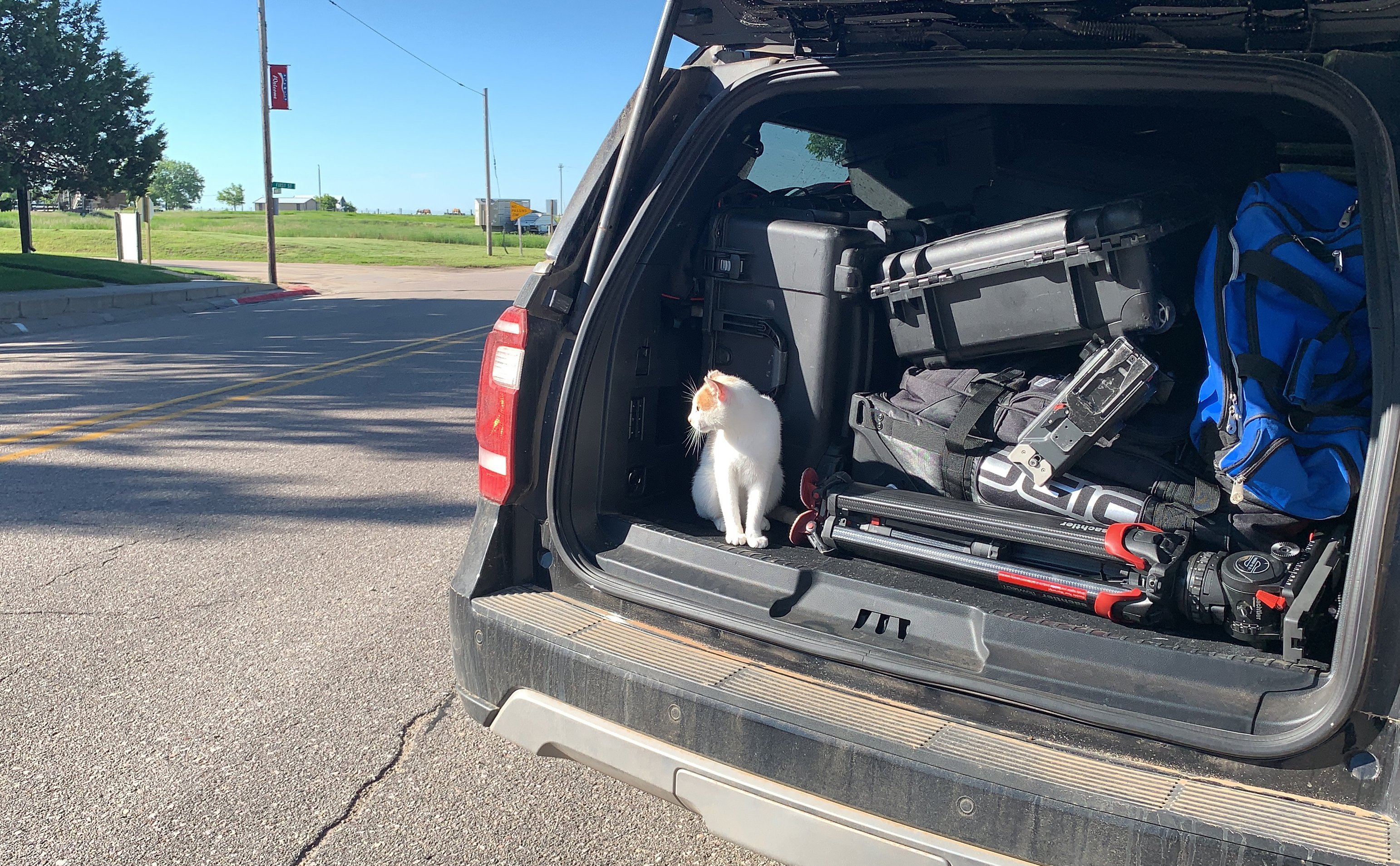 Prehistoric Road Trip crew