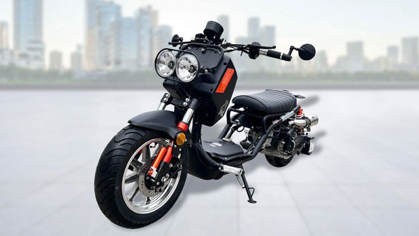 IceBear MadDog Street Bike IceBear MadDog Street Bike