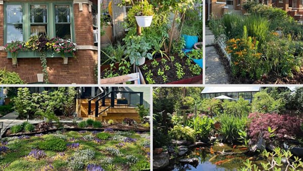Credit: Chicago Bungalow Association A collage of photos picturing gardens in Chicago bungalow yards