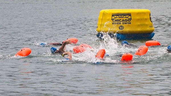 Swimmers with orange safety floats pass by a yellow buoy reading Chicago River Swim
