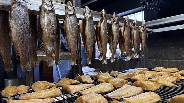 Hagen's Fish Market opened in 1946 and still smokes fish the same way, making it one of two remaining traditional smokehouses in Chicago. Credit: David Hammond for WTTW Fish hanging from racks