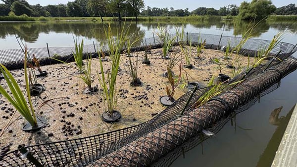 A close-up image of the Schiller Pond raft