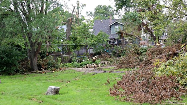 Tree debris and downed powerlines in a yard in Flossmoor