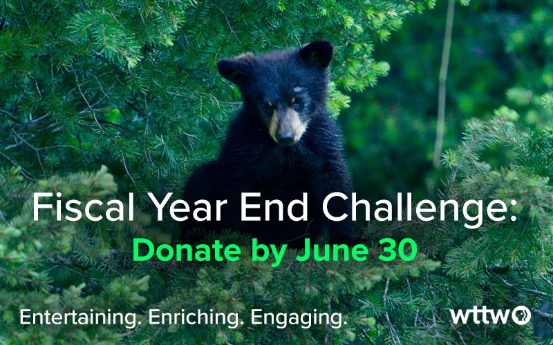 Support the WTTW Fiscal Year End Challenge!