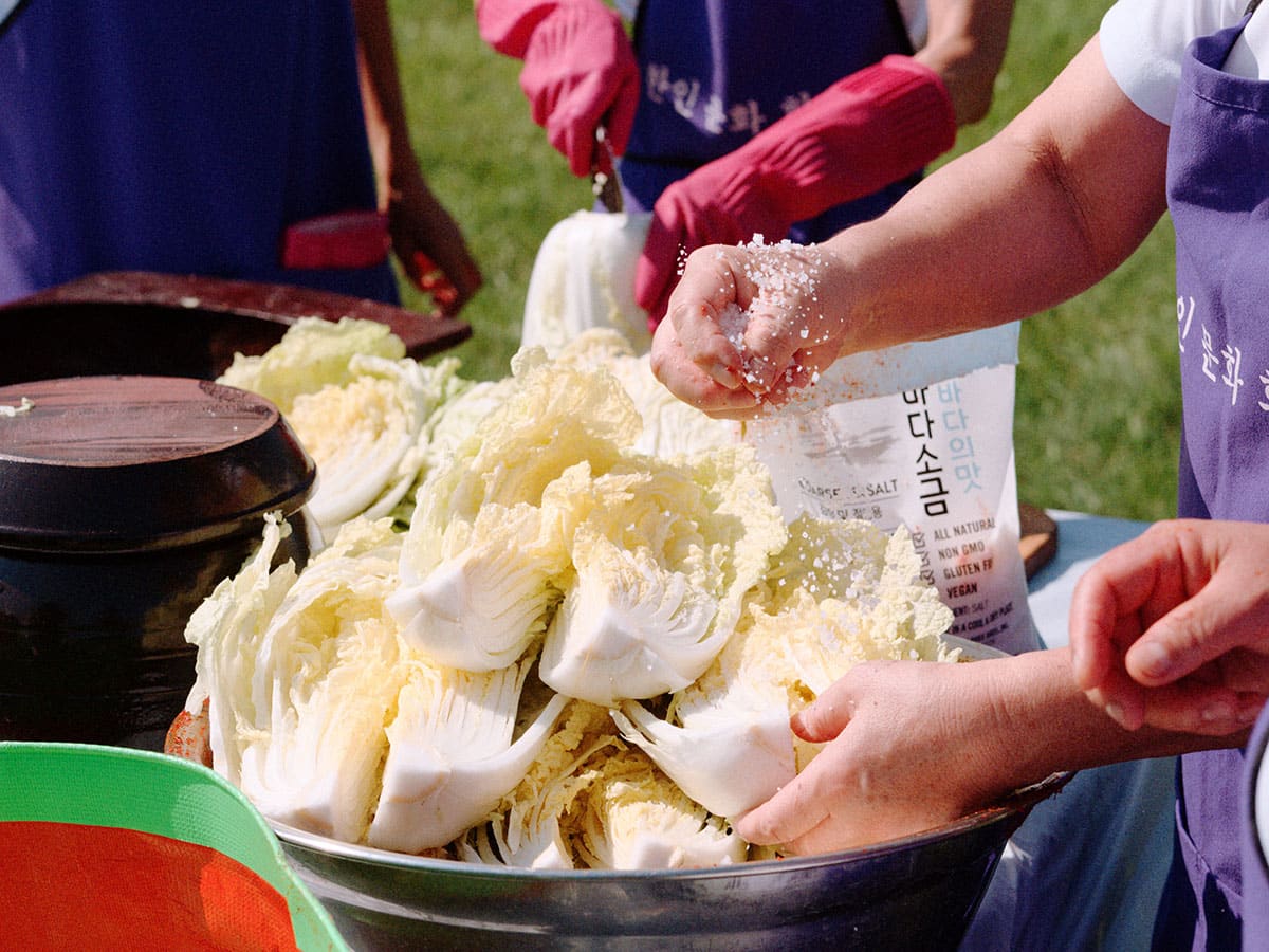 Quartered cabbage heads being salted