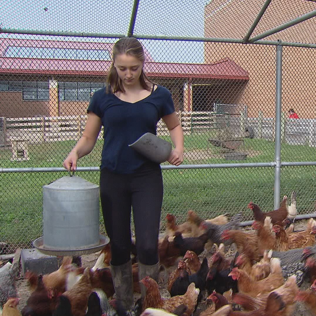 Big City Farm School