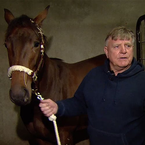 Des McInerney with horse
