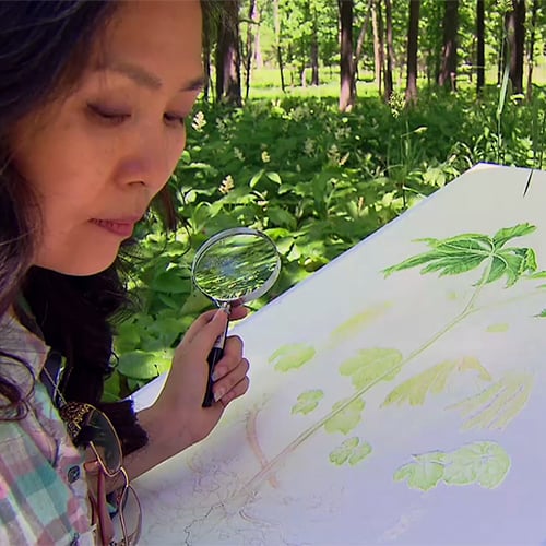 Plant Painter
