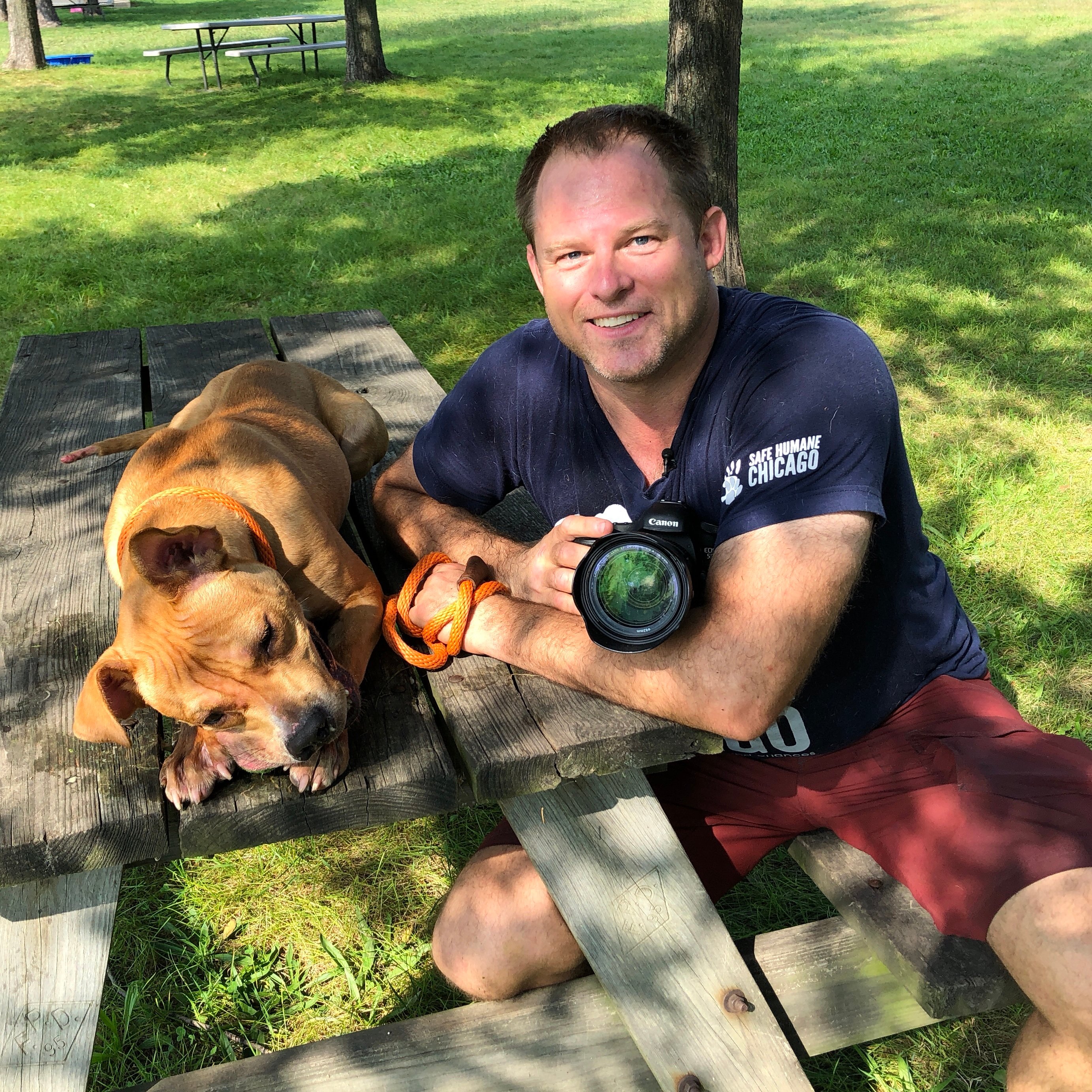 Shelter Dog Photographer