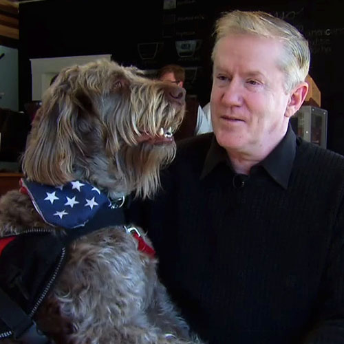 PTSD service dog