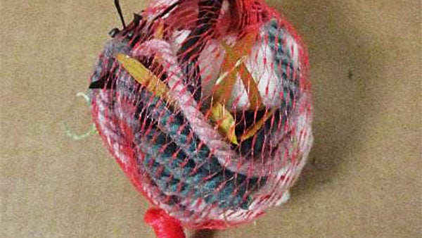 Bird Nesting Orbs